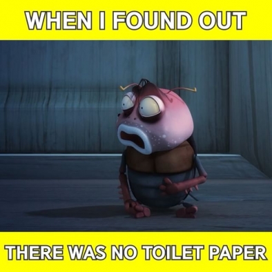 What.. to wipe with..?
–
이것은 흡사 나라 잃은 기분?
–
#toilet #paper #omg #emergency #brown #comics #meme #memes #memesdaily #larva #kculture #TUBAn #화장실 #휴지 #방귀 #애니메이션 #애니 #만화 #라바 #밈 #짤 #투바앤